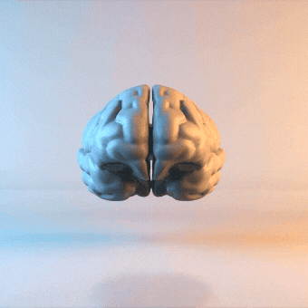 Brain_image