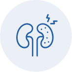 kidney_icon